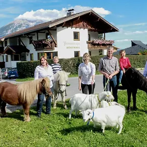  Bauernhof Studlerhof Österreich