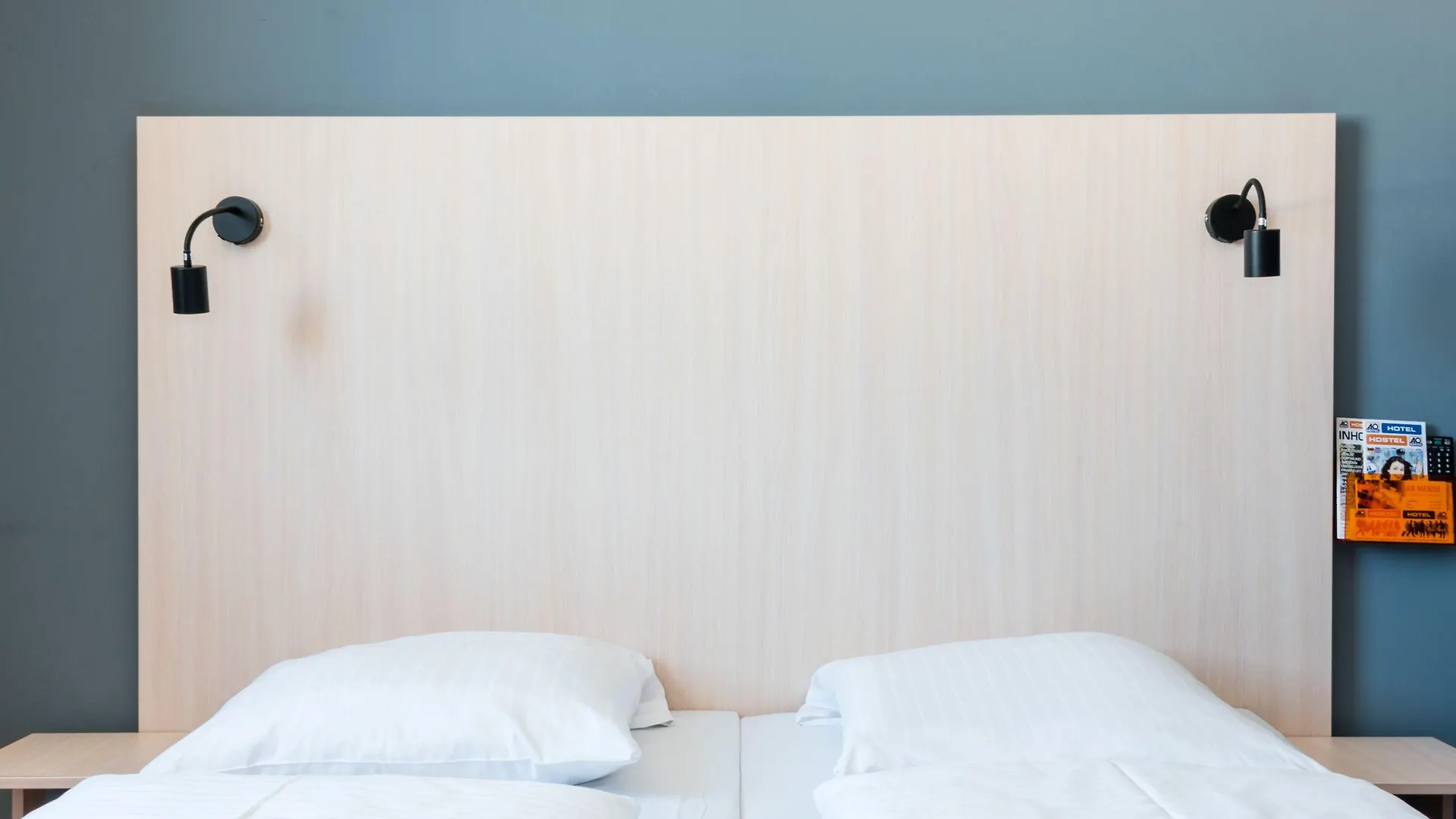 A&O Wien Hauptbahnhof מלון וינה